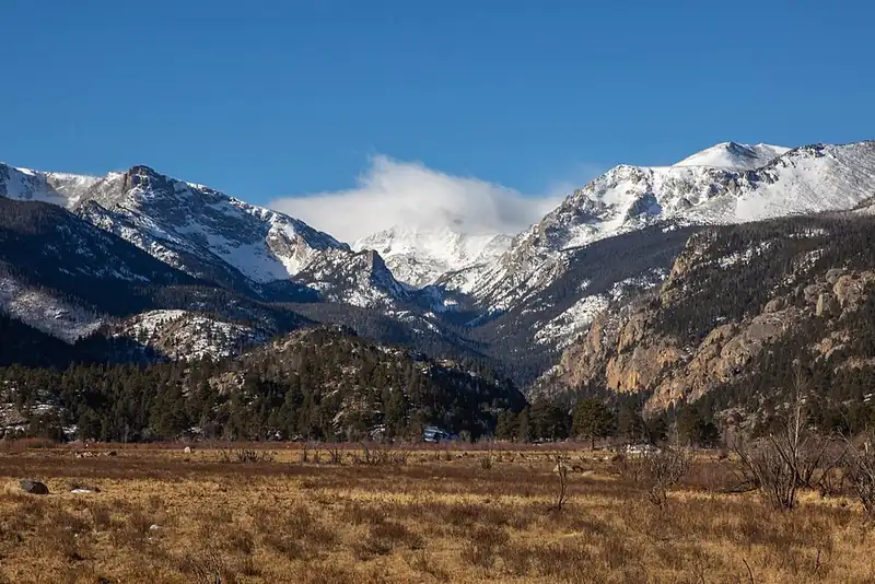 Mountains and forest in Rocky Mountain National Park.