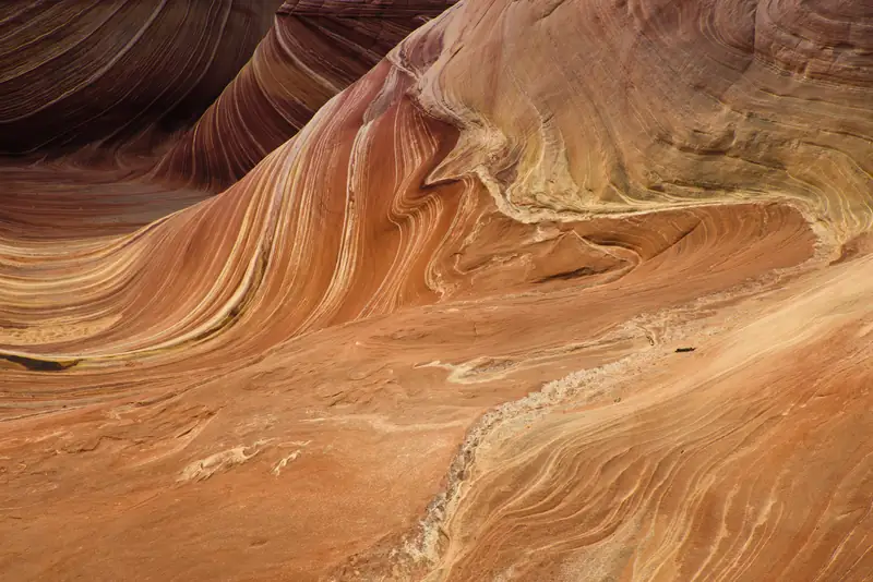 Sandstone waves at Coyote Buttes North, The Wave, in Vermilion Cliffs.