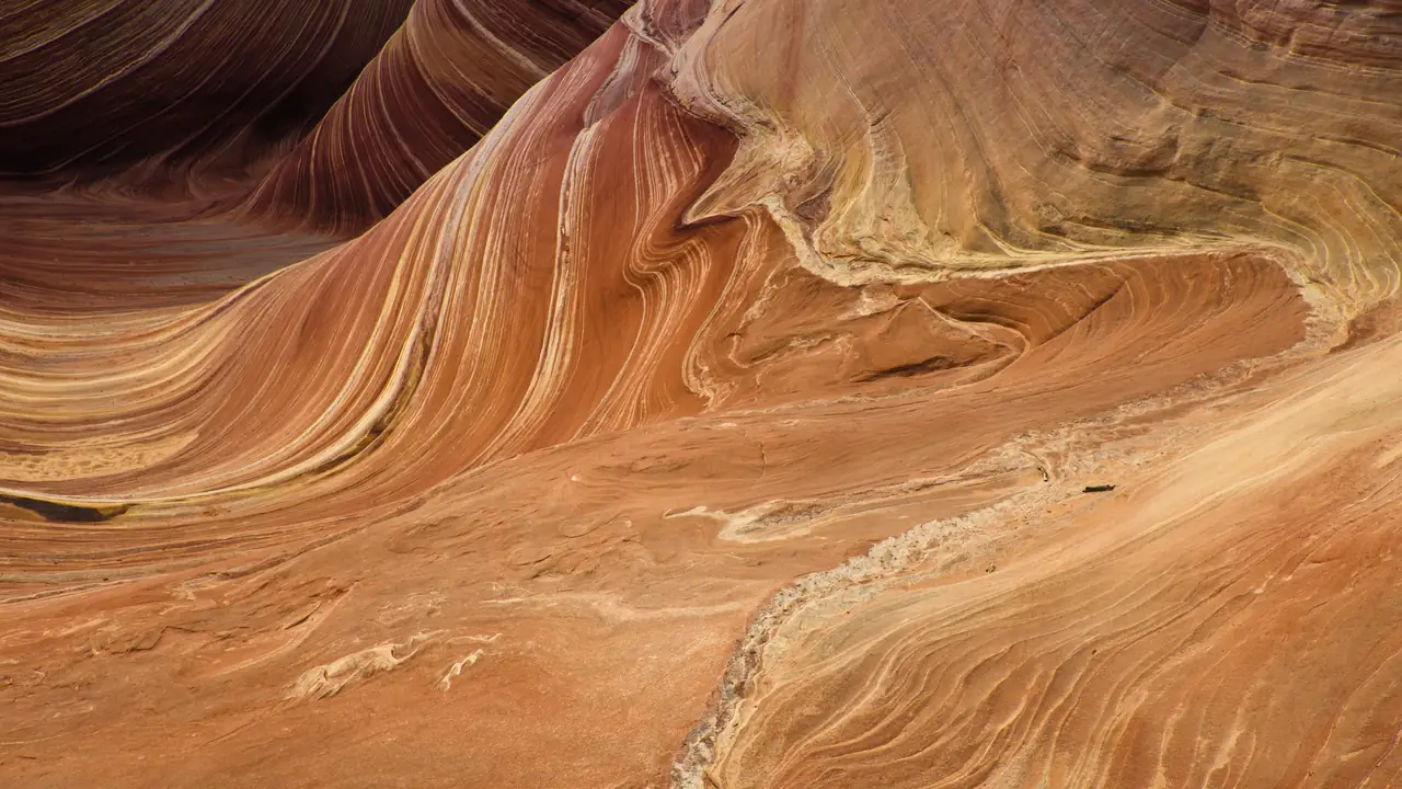 Sandstone waves at Coyote Buttes North, The Wave, in Vermilion Cliffs.