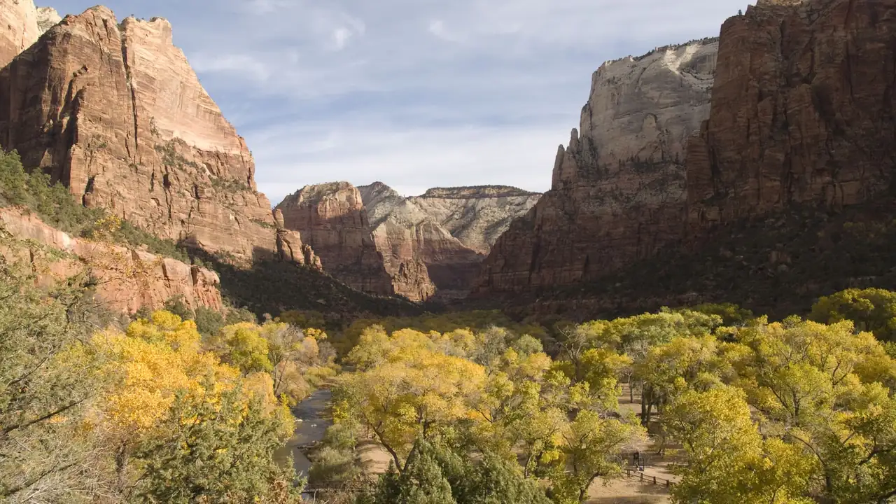 Zion Canyon in autumn, sandstone walls above a floor of cottonwoods.
